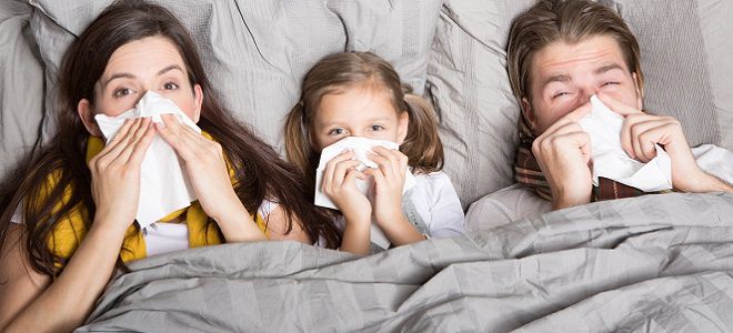 возбудители инфекционных заболеваний возбудители инфекционных заболеваний