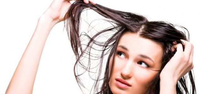 жирные волосы уход жирные волосы уход