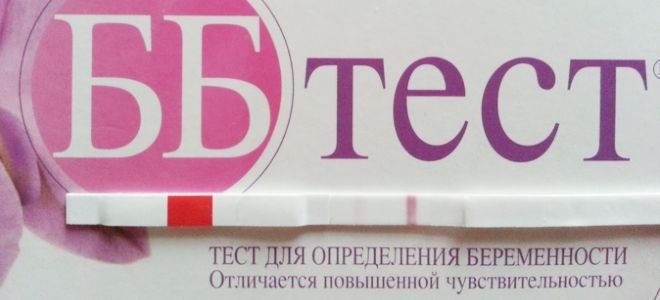 бб тест на беременность бб тест на беременность