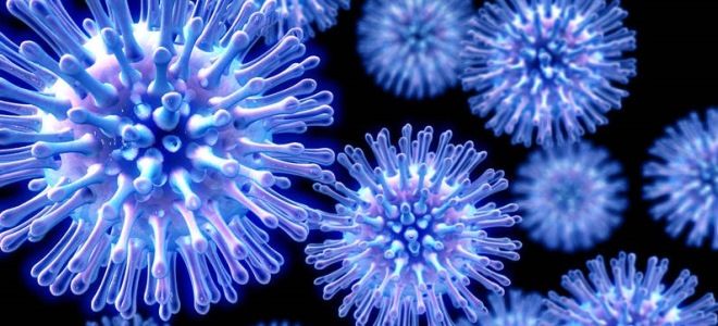 чем лечить орви чем лечить орви