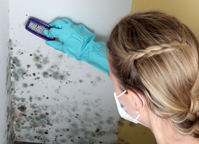 грибок на стенах в ванной как избавиться грибок на стенах в ванной как избавиться