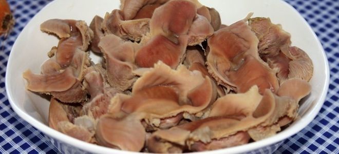 как вкусно приготовить куриные желудки как вкусно приготовить куриные желудки