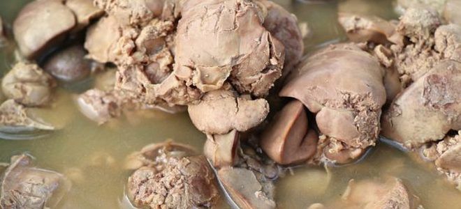 как вкусно сварить куриную печень как вкусно сварить куриную печень