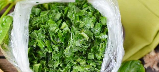 как заготовить шпинат на зиму как заготовить шпинат на зиму