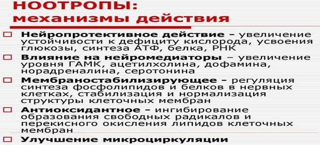 ноотропная терапия ноотропная терапия