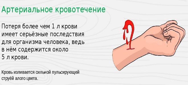 оксигенированная кровь это оксигенированная кровь это