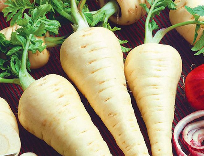 Пастернак Русский размер Пастернак Русский размер