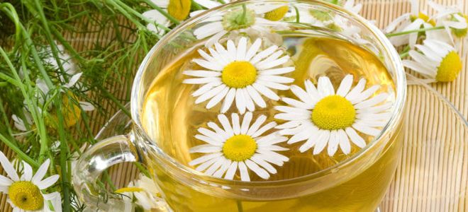 ромашка в стоматологии ромашка в стоматологии