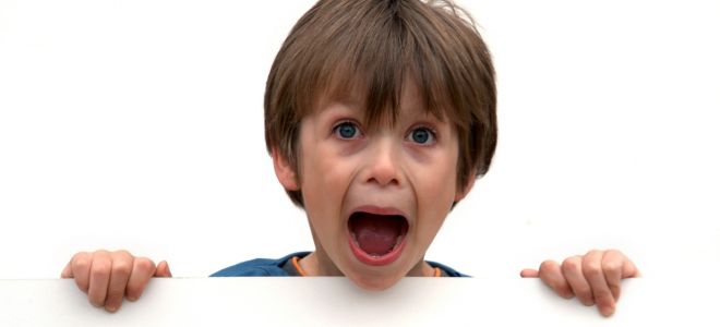 Шизофрения у детей дошкольного возраста Шизофрения у детей дошкольного возраста