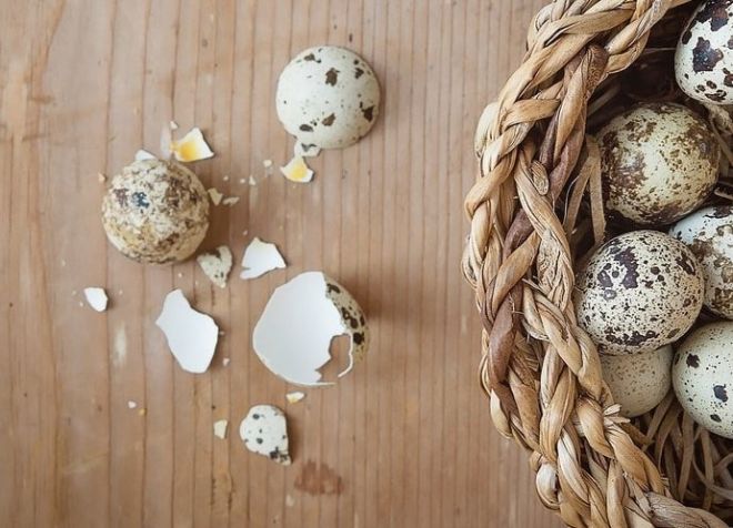 скорлупа перепелиных яиц польза и вред скорлупа перепелиных яиц польза и вред