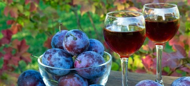 сливовая наливка на водке сливовая наливка на водке