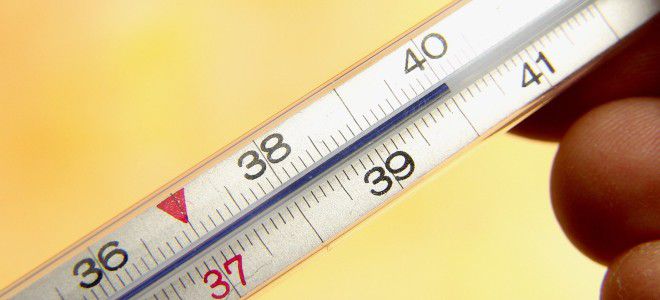 Сыпной тиф инкубационный период Сыпной тиф инкубационный период