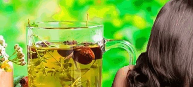 травы от выпадения волос травы от выпадения волос