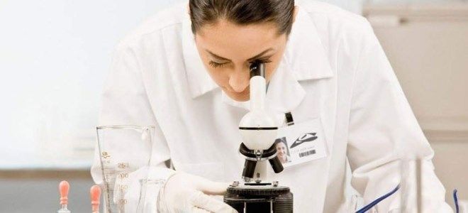 тромбоциты у детей тромбоциты у детей