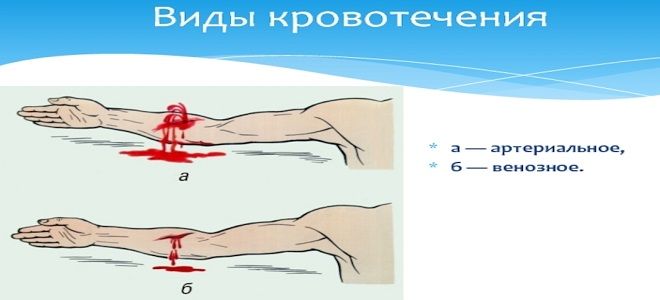 артериальная кровь поступает в артериальная кровь поступает в