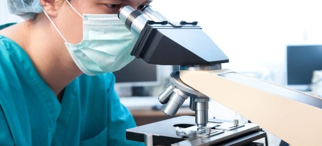 диагностика лямблиоза диагностика лямблиоза