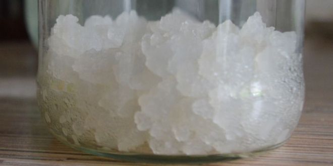 индийский морской рис приготовление индийский морской рис приготовление