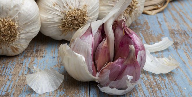 Как узнать, что чеснок готов к уборке Как узнать, что чеснок готов к уборке