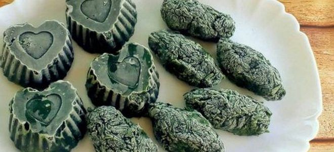 как заморозить шпинат на зиму как заморозить шпинат на зиму