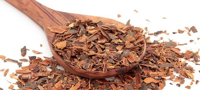 кора крушины лечебные свойства кора крушины лечебные свойства