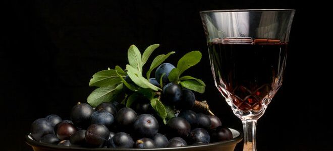 наливка из сливы на спирту наливка из сливы на спирту