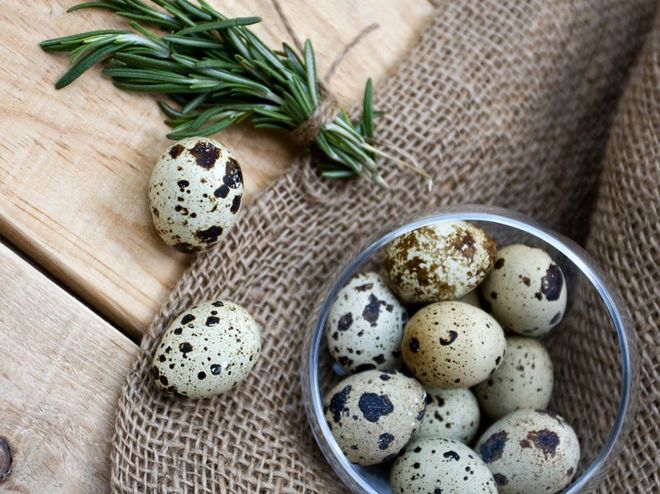 перепелиные яйца польза и вред для детей перепелиные яйца польза и вред для детей