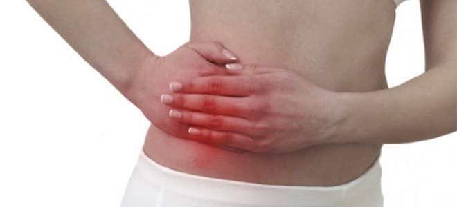 придатки матки придатки матки