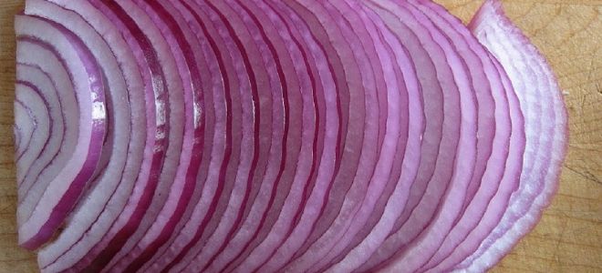 синий лук для печени синий лук для печени