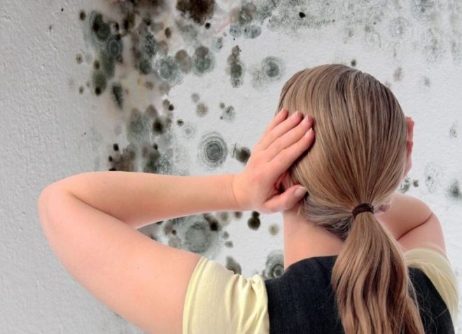 средство для удаления грибка в ванной комнате средство для удаления грибка в ванной комнате