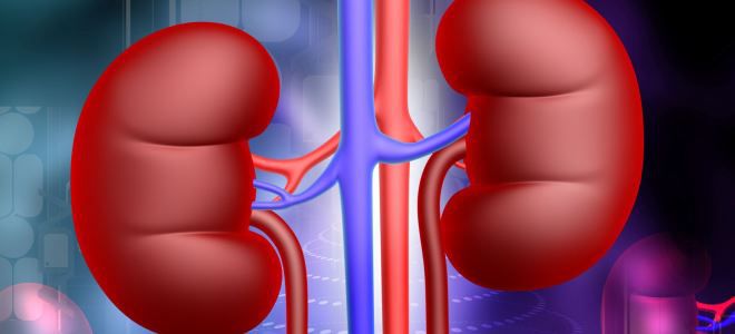 вздутие живота при болезнях почек вздутие живота при болезнях почек