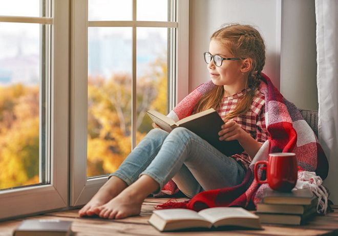 Алюминиевые окна Алюминиевые окна