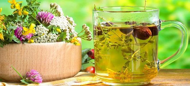 коксартроз народные методы лечения коксартроз народные методы лечения