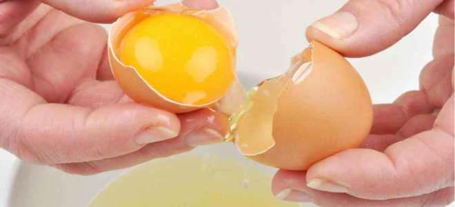 маска для укрепления волос с яйцом маска для укрепления волос с яйцом