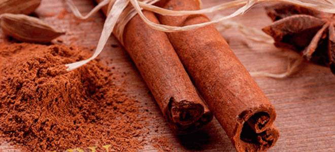 маска из корицы маска из корицы