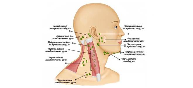 массаж лица дома массаж лица дома