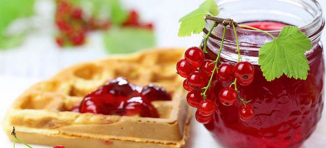 варенье из красной смородины в мультиварке варенье из красной смородины в мультиварке