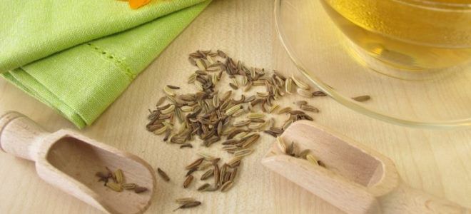 вздутие живота народные средства вздутие живота народные средства