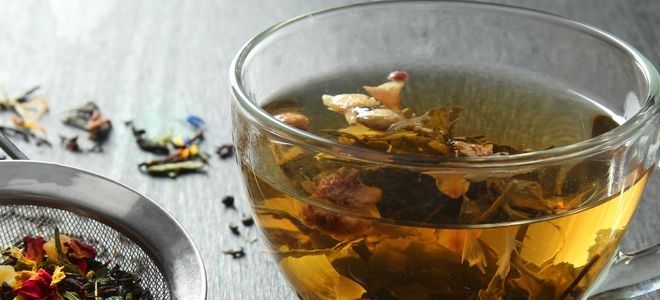 жостер как слабительное дозировка жостер как слабительное дозировка