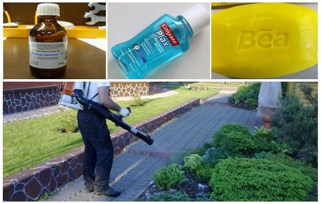 как защититься от овода как защититься от овода