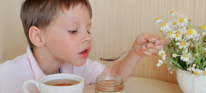 ромашка лечебные свойства и противопоказания для детей ромашка лечебные свойства и противопоказания для детей