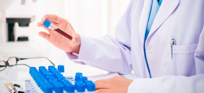 Сыпной тиф диагностика Сыпной тиф диагностика