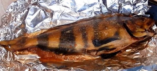 терпуг на мангале терпуг на мангале