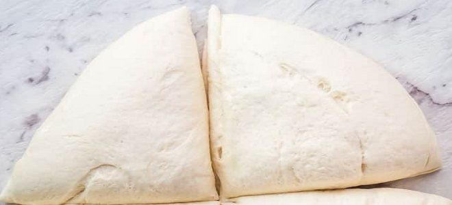 тесто для пиццы на кефире с дрожжами тесто для пиццы на кефире с дрожжами