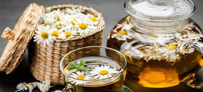 травяные растворы для промывания носа травяные растворы для промывания носа