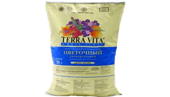 грунт для ипомеи батат грунт для ипомеи батат