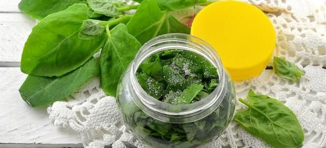 как засолить шпинат на зиму как засолить шпинат на зиму