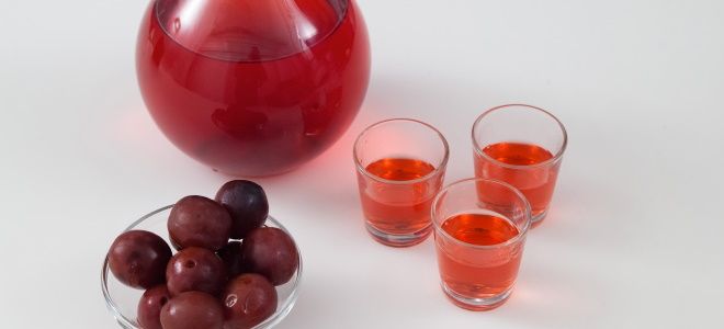 наливка из сливовых косточек наливка из сливовых косточек