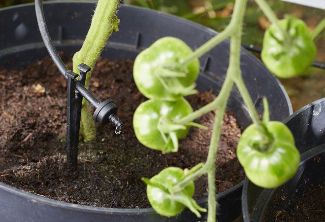 полив своими руками полив своими руками