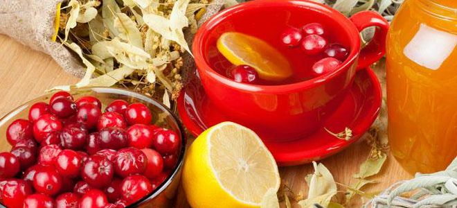 продукты для чистки сосудов продукты для чистки сосудов