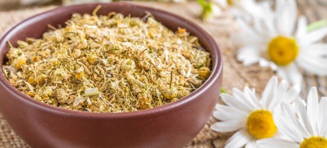 ромашка для наружного применения ромашка для наружного применения